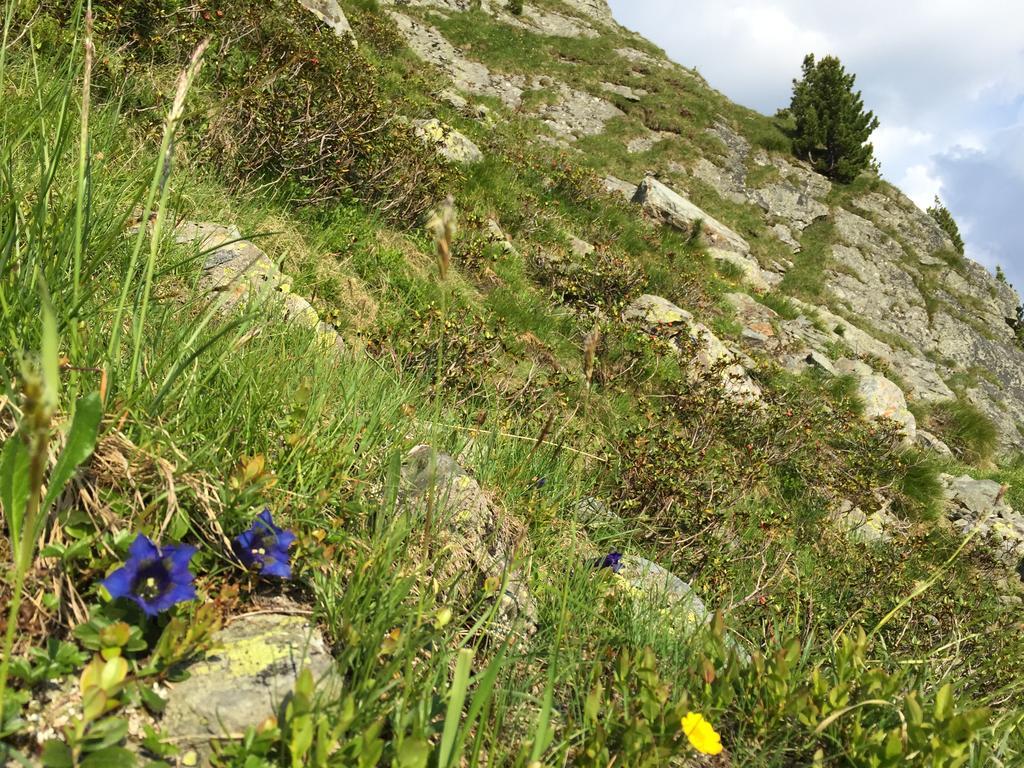 Das Alpbach Juwel 外观 照片