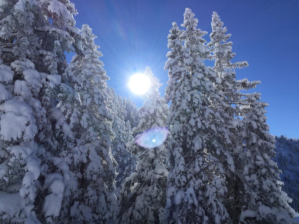 Das Alpbach Juwel 外观 照片