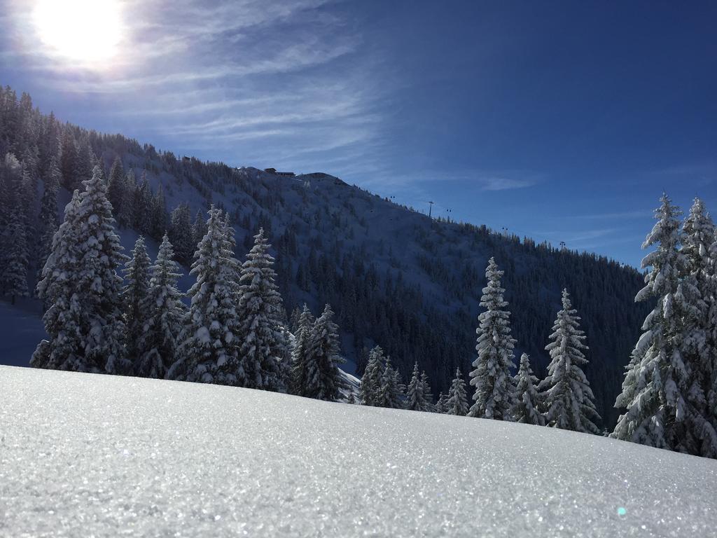 Das Alpbach Juwel 外观 照片